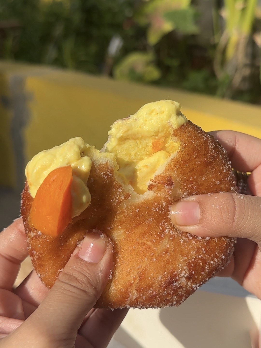 Mango cream (Seasonal Special)